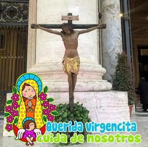 Meet your Posher, Dora